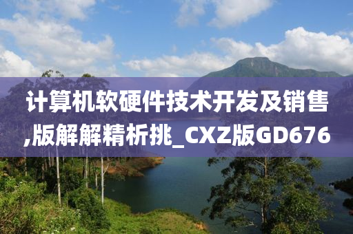 计算机软硬件技术开发及销售,版解解精析挑_CXZ版GD676