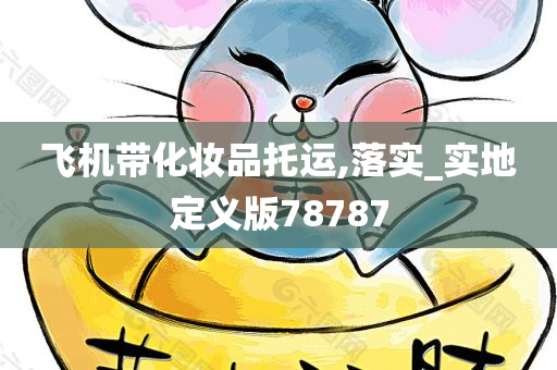 飞机带化妆品托运,落实_实地定义版78787