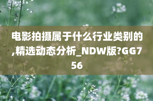 电影拍摄属于什么行业类别的,精选动态分析_NDW版?GG756