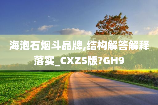 海泡石烟斗品牌,结构解答解释落实_CXZS版?GH9