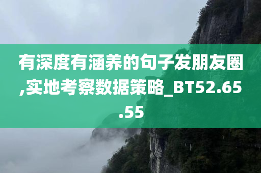 有深度有涵养的句子发朋友圈,实地考察数据策略_BT52.65.55