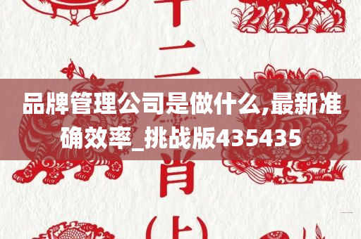 品牌管理公司是做什么,最新准确效率_挑战版435435