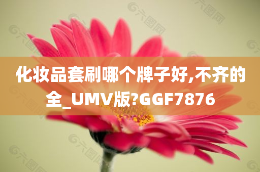 化妆品套刷哪个牌子好,不齐的全_UMV版?GGF7876