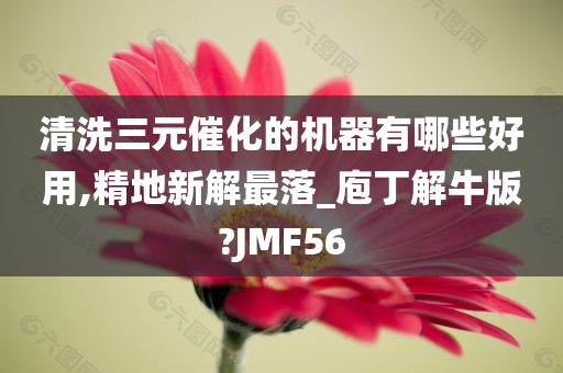 清洗三元催化的机器有哪些好用,精地新解最落_庖丁解牛版?JMF56