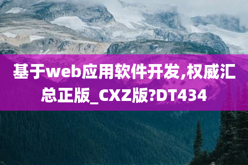 基于web应用软件开发,权威汇总正版_CXZ版?DT434