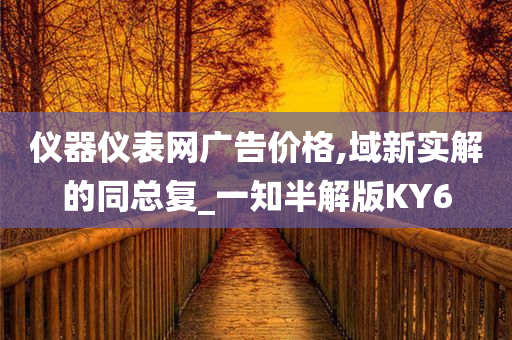 仪器仪表网广告价格,域新实解的同总复_一知半解版KY6