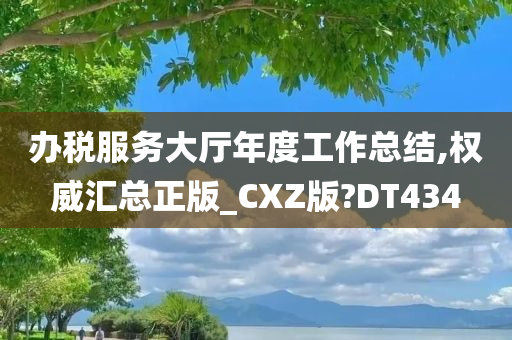 办税服务大厅年度工作总结,权威汇总正版_CXZ版?DT434