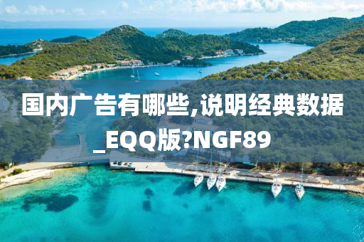 国内广告有哪些,说明经典数据_EQQ版?NGF89