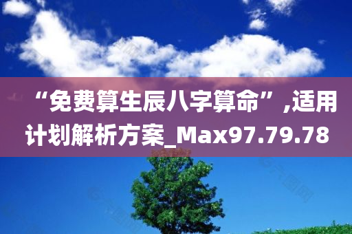 “免费算生辰八字算命”,适用计划解析方案_Max97.79.78