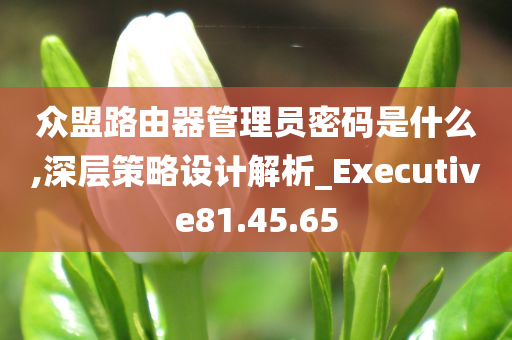 众盟路由器管理员密码是什么,深层策略设计解析_Executive81.45.65