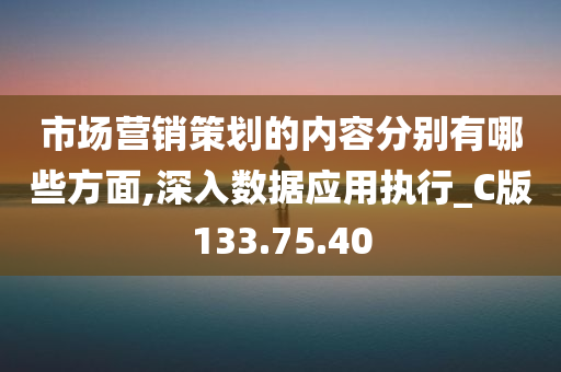 市场营销策划的内容分别有哪些方面,深入数据应用执行_C版133.75.40