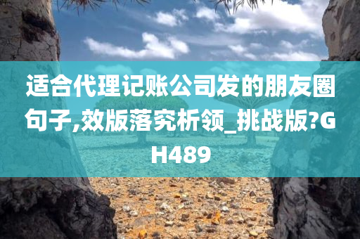 适合代理记账公司发的朋友圈句子,效版落究析领_挑战版?GH489