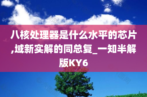 八核处理器是什么水平的芯片,域新实解的同总复_一知半解版KY6