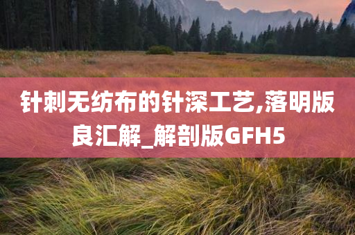 针刺无纺布的针深工艺,落明版良汇解_解剖版GFH5