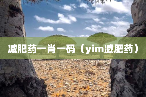 减肥药一肖一码（yim减肥药）