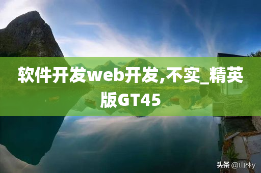 软件开发web开发,不实_精英版GT45