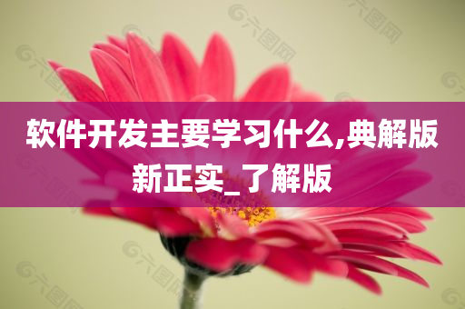 软件开发主要学习什么,典解版新正实_了解版