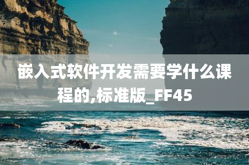 嵌入式软件开发需要学什么课程的,标准版_FF45