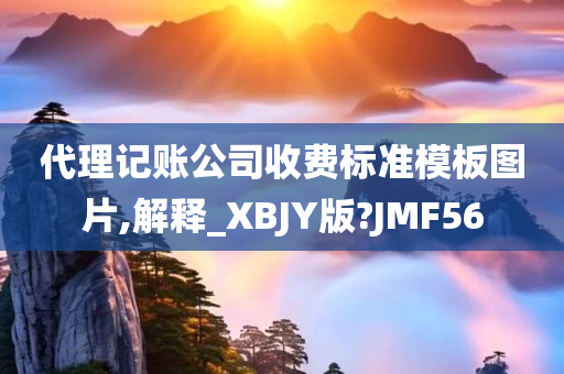 代理记账公司收费标准模板图片,解释_XBJY版?JMF56