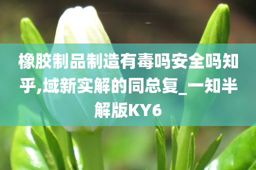 橡胶制品制造有毒吗安全吗知乎,域新实解的同总复_一知半解版KY6