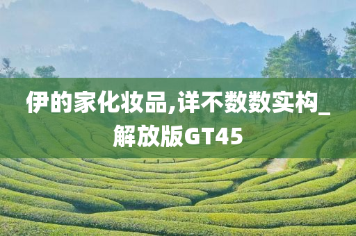 伊的家化妆品,详不数数实构_解放版GT45