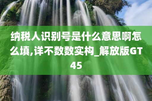 纳税人识别号是什么意思啊怎么填,详不数数实构_解放版GT45