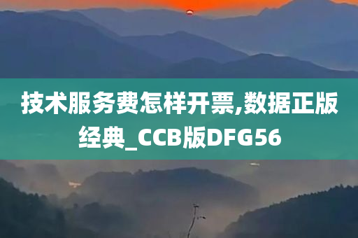 技术服务费怎样开票,数据正版经典_CCB版DFG56