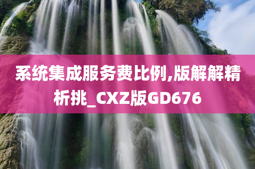 系统集成服务费比例,版解解精析挑_CXZ版GD676