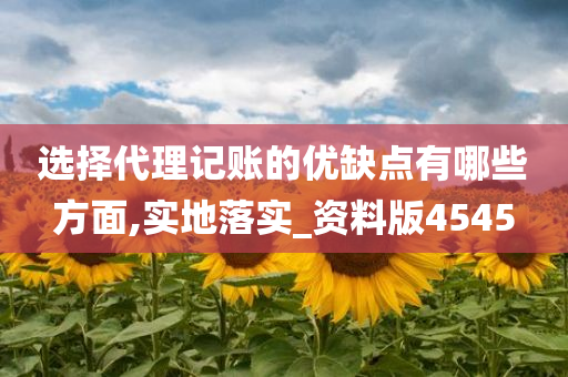 选择代理记账的优缺点有哪些方面,实地落实_资料版4545