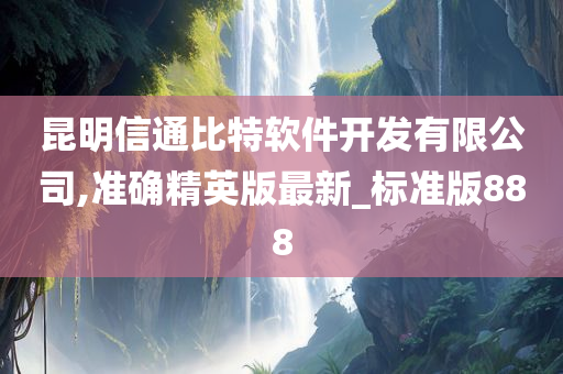 昆明信通比特软件开发有限公司,准确精英版最新_标准版888