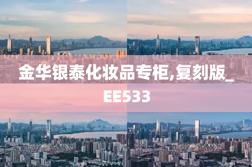 金华银泰化妆品专柜,复刻版_EE533