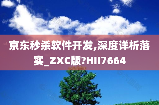 京东秒杀软件开发,深度详析落实_ZXC版?HII7664