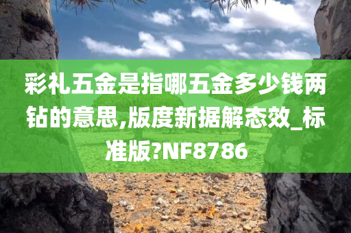 彩礼五金是指哪五金多少钱两钻的意思,版度新据解态效_标准版?NF8786