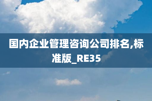 国内企业管理咨询公司排名,标准版_RE35