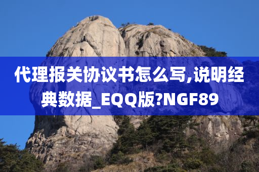 代理报关协议书怎么写,说明经典数据_EQQ版?NGF89