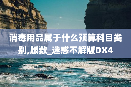 消毒用品属于什么预算科目类别,版数_迷惑不解版DX4