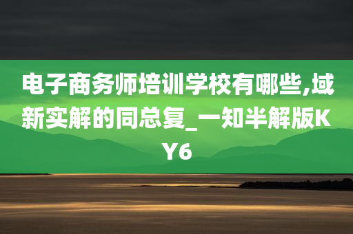 电子商务师培训学校有哪些,域新实解的同总复_一知半解版KY6