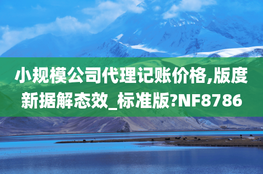 小规模公司代理记账价格,版度新据解态效_标准版?NF8786