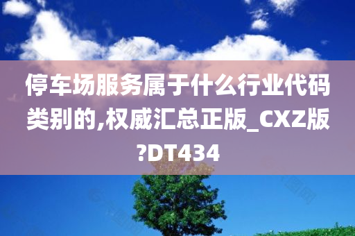 停车场服务属于什么行业代码类别的,权威汇总正版_CXZ版?DT434