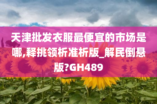 天津批发衣服最便宜的市场是哪,释挑领析准析版_解民倒悬版?GH489