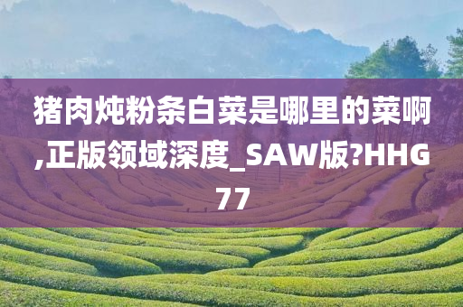 猪肉炖粉条白菜是哪里的菜啊,正版领域深度_SAW版?HHG77