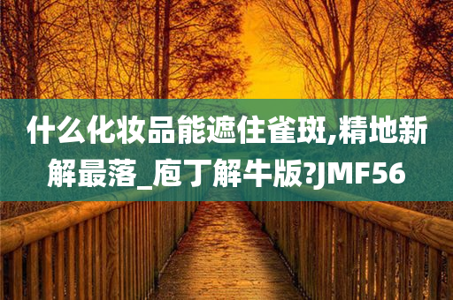 什么化妆品能遮住雀斑,精地新解最落_庖丁解牛版?JMF56