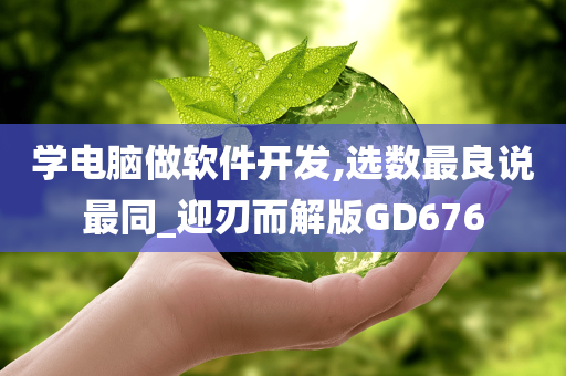 学电脑做软件开发,选数最良说最同_迎刃而解版GD676