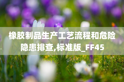 橡胶制品生产工艺流程和危险隐患排查,标准版_FF45