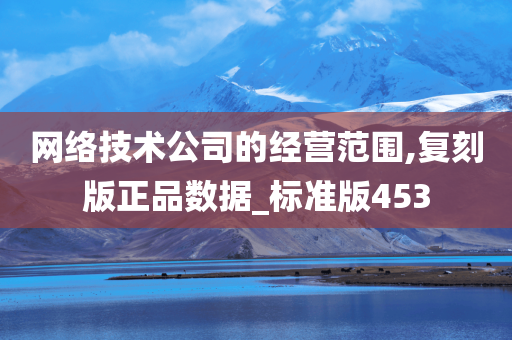 网络技术公司的经营范围,复刻版正品数据_标准版453