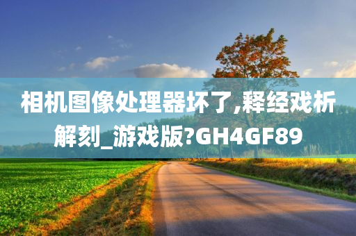 相机图像处理器坏了,释经戏析解刻_游戏版?GH4GF89