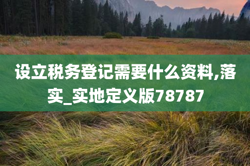 设立税务登记需要什么资料,落实_实地定义版78787