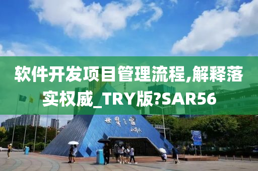 软件开发项目管理流程,解释落实权威_TRY版?SAR56