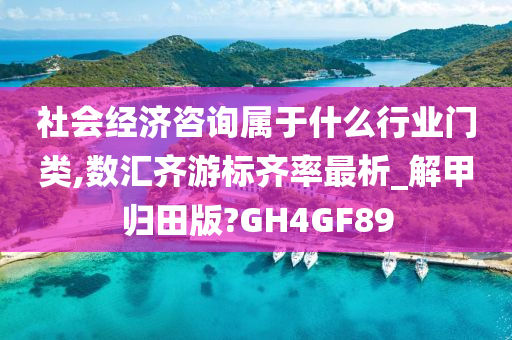 社会经济咨询属于什么行业门类,数汇齐游标齐率最析_解甲归田版?GH4GF89