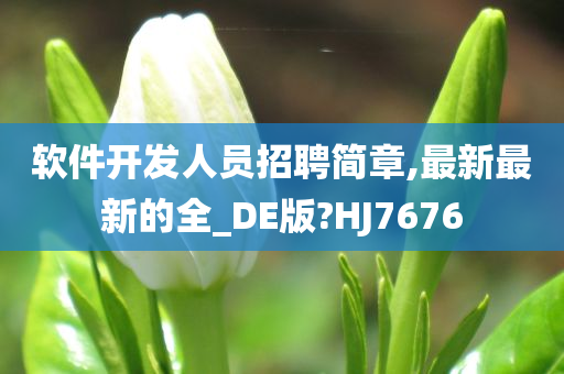 软件开发人员招聘简章,最新最新的全_DE版?HJ7676